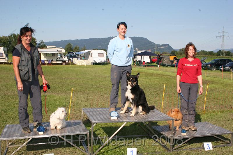 jubil.lusten. 362.jpg